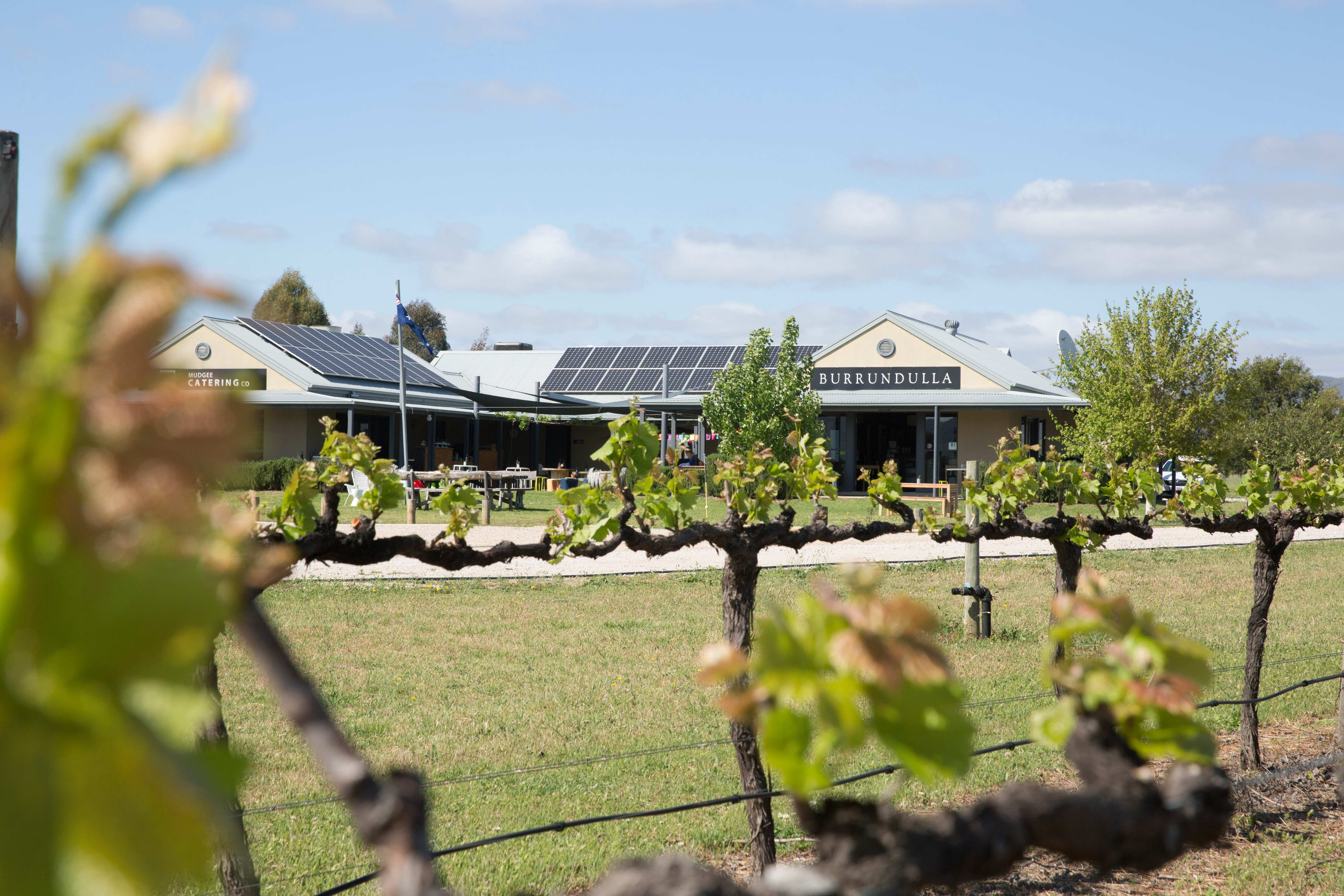 Cellar Door Burrundulla Wines